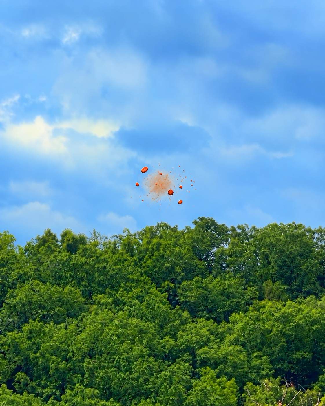 An orange clay target breaking against the sky above the wooded course